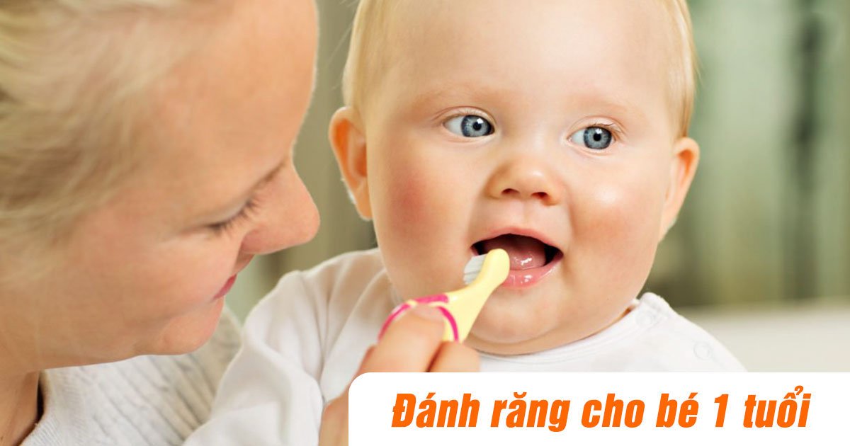 Bàn chải đánh răng cho bé 1 tuổi giúp làm sạch khoang miệng